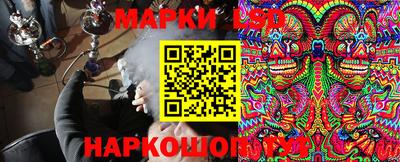 стаф Кинель