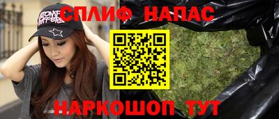 сатива Будённовск