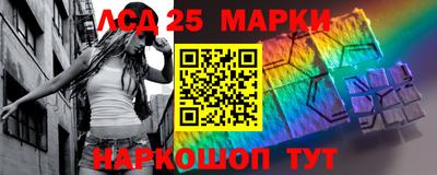 сатива Будённовск