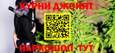 сатива Будённовск