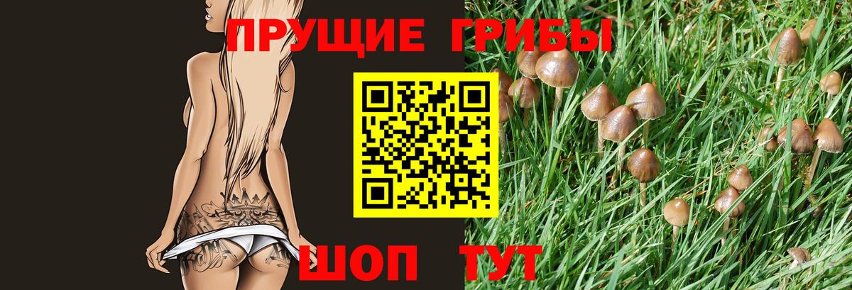 Псилоцибиновые грибы мицелий Куйбышев