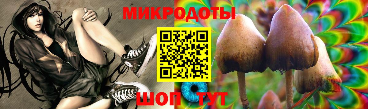 Куйбышев  Галлюциногенные грибы Cubensis  цена   Вход с VPN 